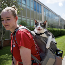 A woman facing left with a black and white cat in her backpack