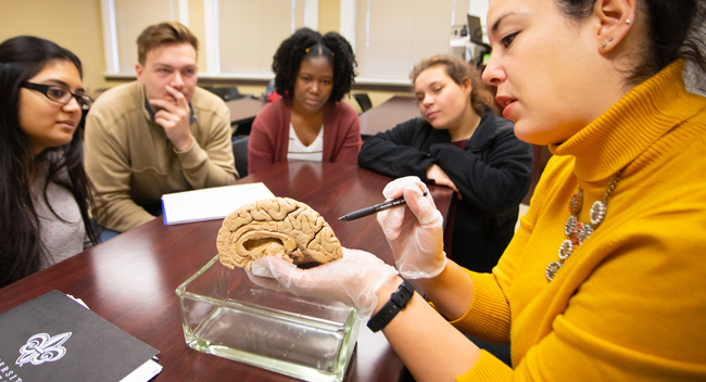 BC professor showing a sculpture of the brain to a group of students