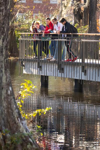 Bryman College students stand on the pier in Cypress Lake to look at wildlife