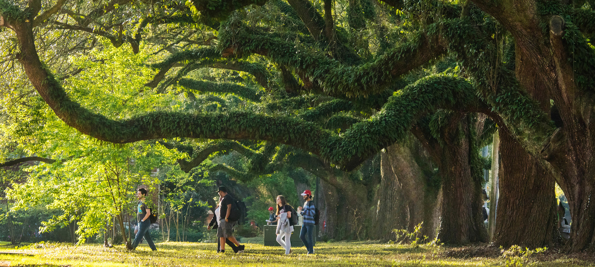 Bryman College students walking under the large oak trees on campus